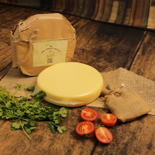 Kars Göbek Kaşar Peyniri: Türkiye’nin Gururu ve Eşsiz Lezzeti